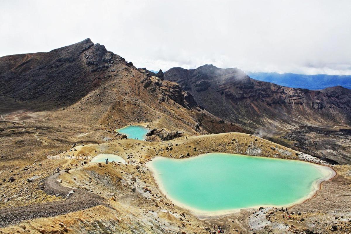 NHKラジオ第1マイあさ！5月はニュージーランドの世界遺産「トンガリロ国立公園」をご紹介
